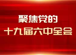 聚焦党的十九届六中全会