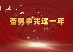 奋勇争先这一年