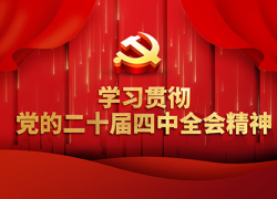 学习贯彻党的二十届四中全会精神