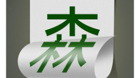 双面用纸 节约森林