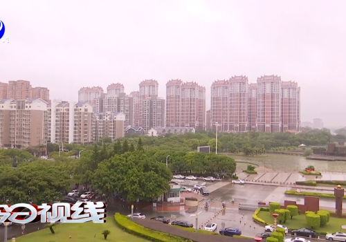 秀屿：防台一线党旗飘  风雨如磐映初心